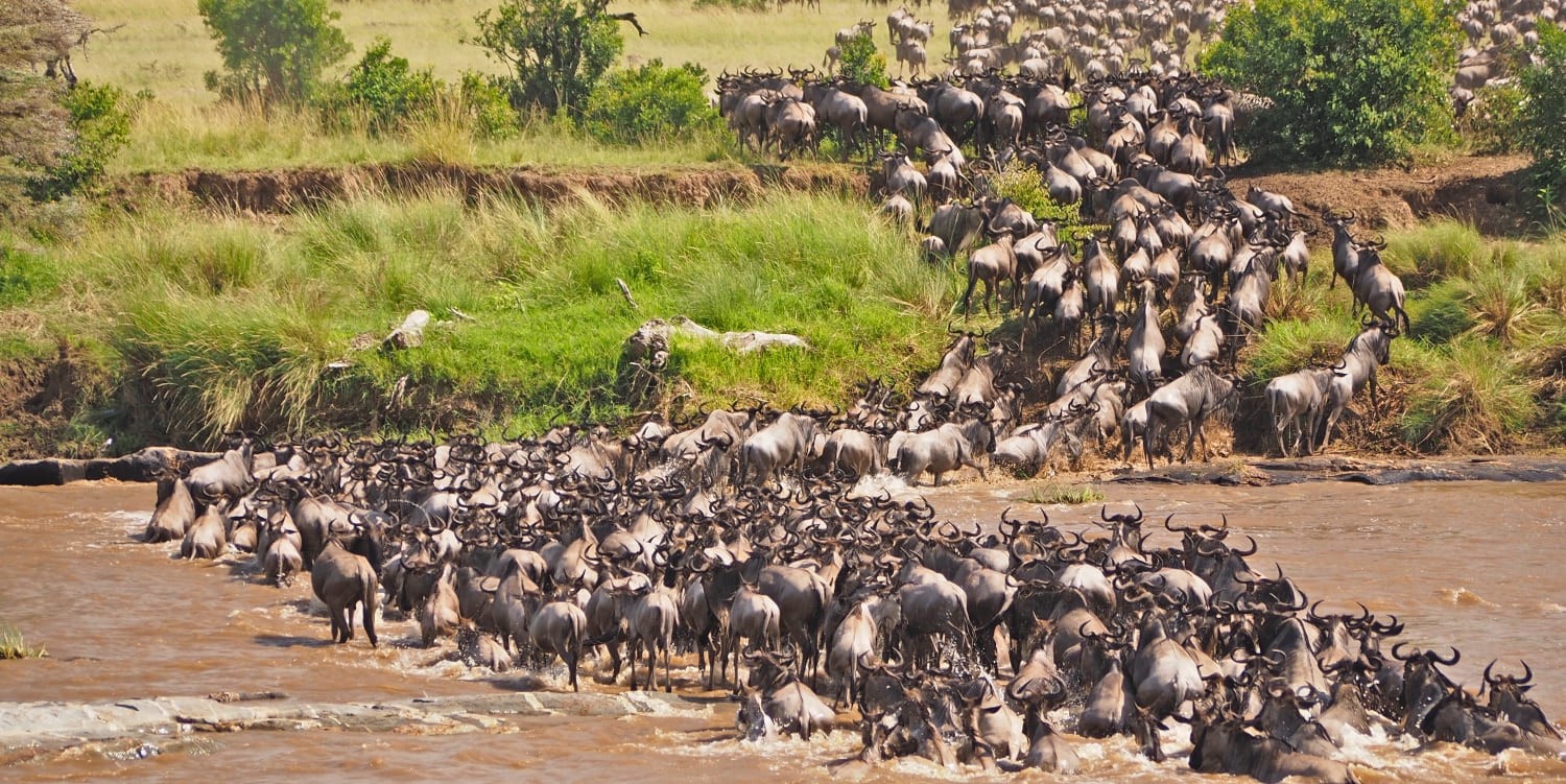 Great Migration